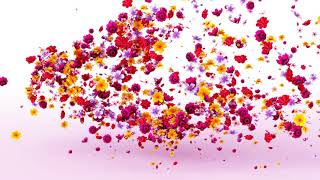 Flowers Logo Reveal After Effects Template