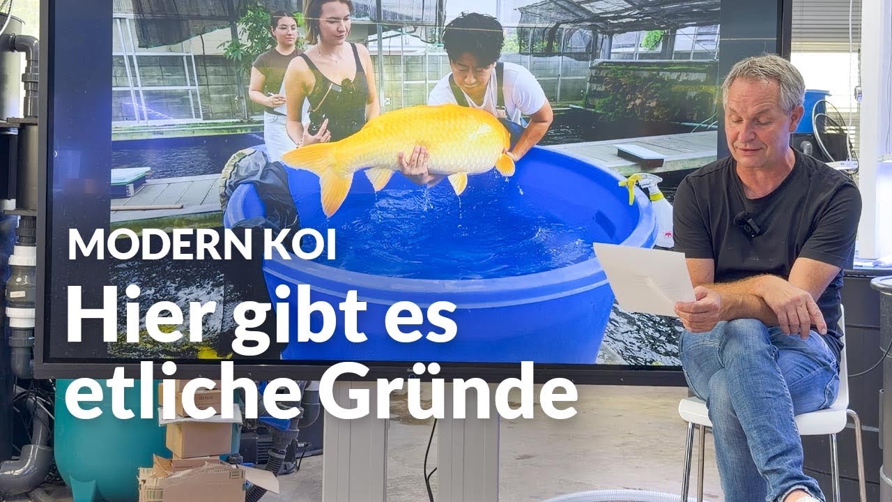 Woher kommt der ganze Schaum im FIlter ? | Modern Koi Blog #8152