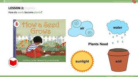 mySci 6 0 U1L2 Summary