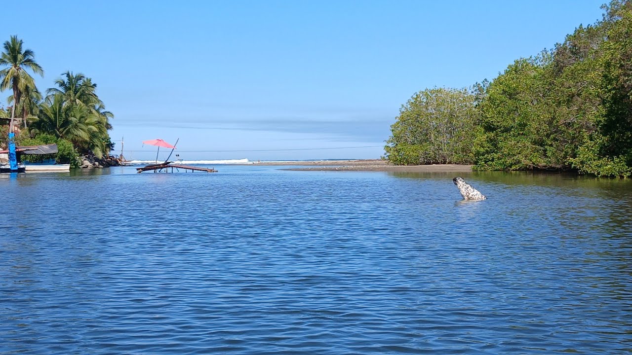 LA SALADITA EP. 2 | Quedé sorprendido durante el paseo,el mundo entero debe enterarse
