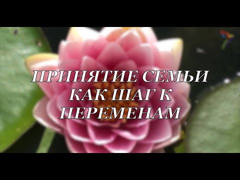 Вопросы воспитания: о правах и обязанностях