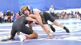 State Westling Recap 2025