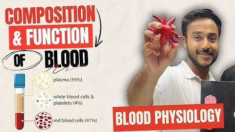 function of blood physiology | composition of blood physiology | formed elements of blood physiology