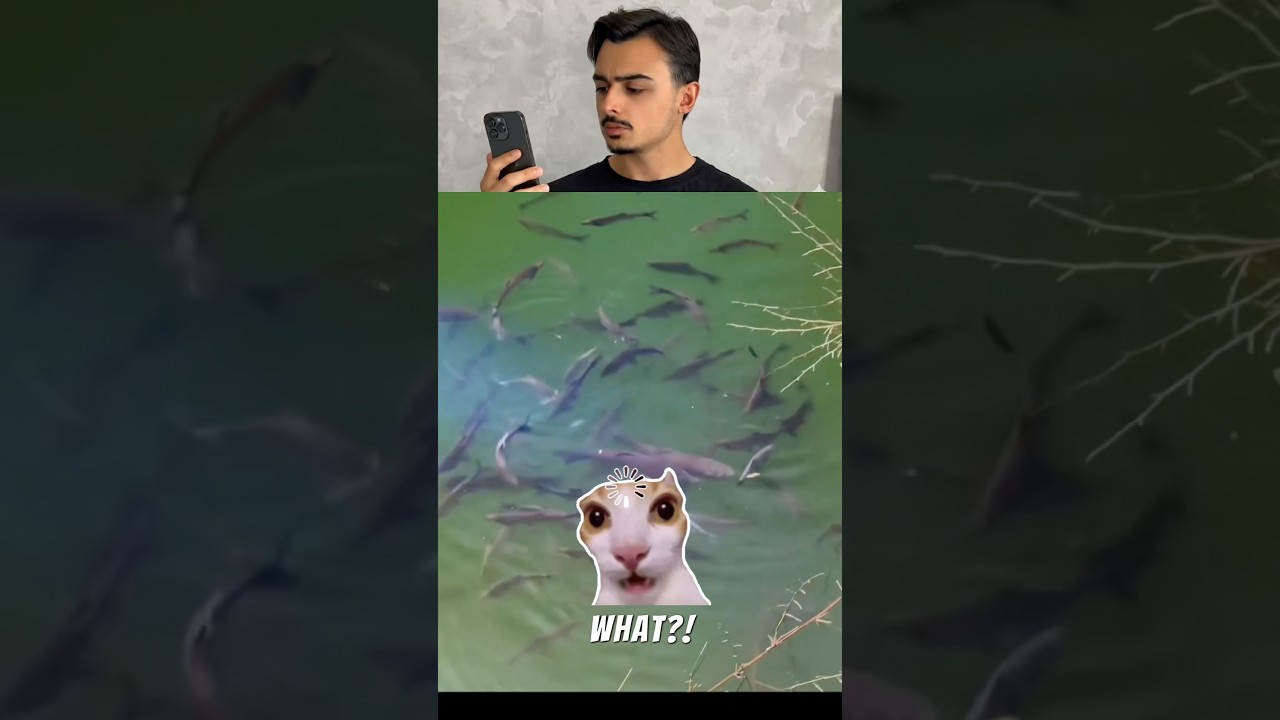Fishing Gadget