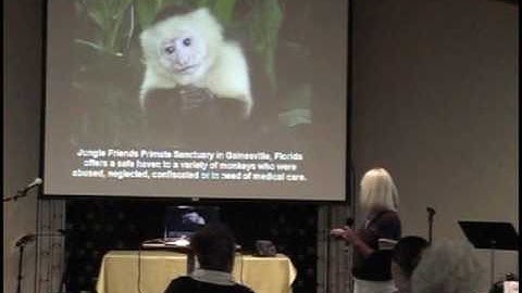 PowerPoint Presentation About Jungle Friends Part 1 of 2