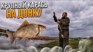 Крупный карась на донку.Рыбалка на карася на заливах реки Волга.