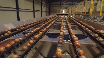 JDC - Optische uien sorteerlijn Top Onions