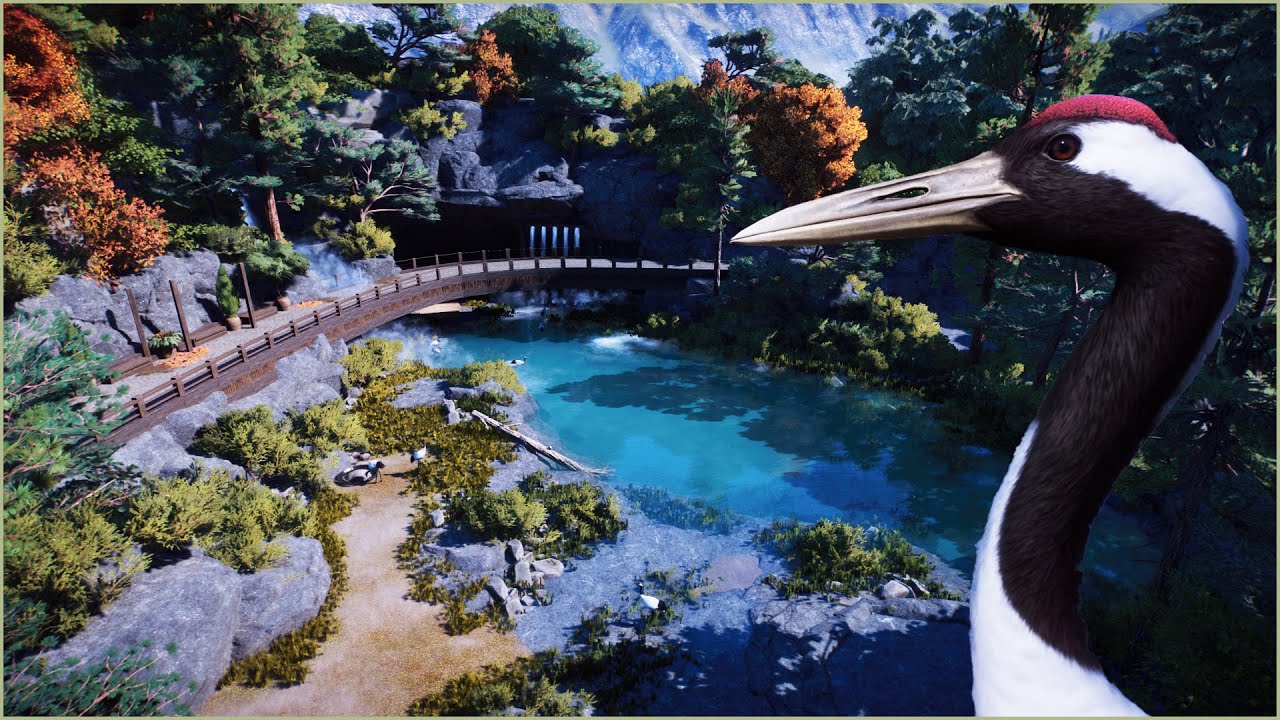 🐦 Natural Red-crowned Crane habitat in the forest | Runi Zoo | Planet Zoo | speedbuild ❄️