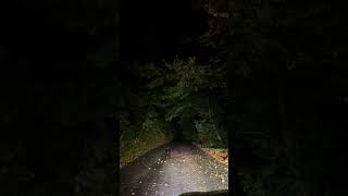 When the Sky Roars 🌩️ | Lonely Road at Night#Thunderstorm