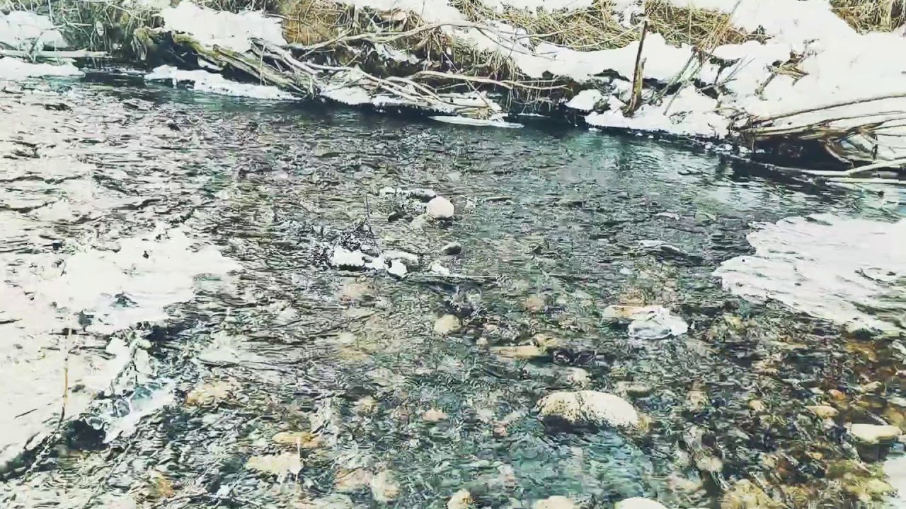 Поход по реке - YouTube