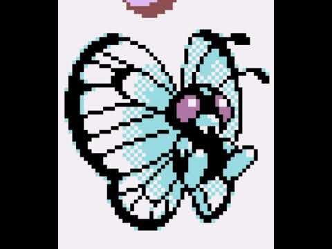 Metapod flys out of his cocoon! 🦋 Metapod Evolves into Butterfree Pokémon Gold 🥇