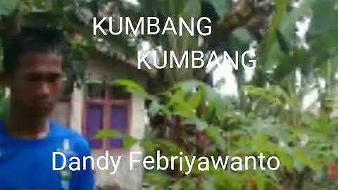 Ade Irma Kumbang Kumbang - Dandy Febriyawanto (Official Music Video Clip)