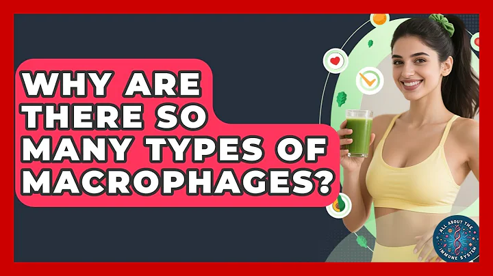 Why Are There So Many Types Of Macrophages? - All About the Immune System