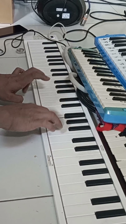 ketika pianika Telolet Basuri saya rusak 😭 #pianika #basuri