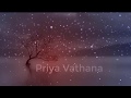 Oru vali pathai exclusive tamil movie song priya vathana   phoenix music