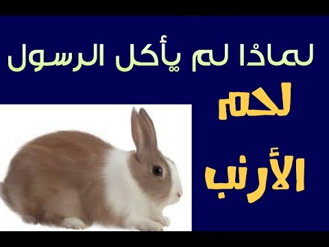 هل أكل الرسول لحم الأرنب فى حياته و لو مرة .. لماذا لم يأكل الرسول لحم الأرنب - YouTube