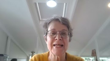 Pathways under pressure: Exploring urban challenges facing migratory species (afternoon session)