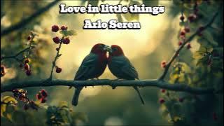 Love in Little Things - Arlo Seren - Love Song with Lyrics