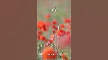 تلاوة /سورة الفاتحة/شحات محمود