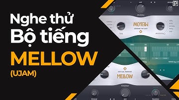 Nghe Thử Bộ Tiếng Bass MELLOW (UJAM) | Không Nói Gì | Plugin.com.vn