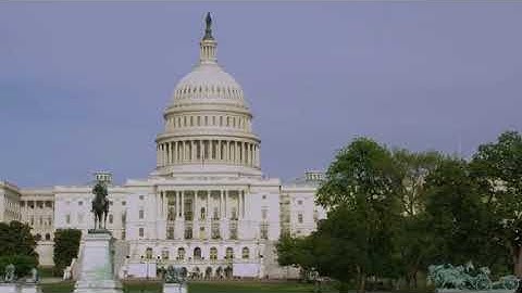 Foreign Emoluments Clause