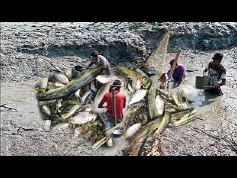 Amaizing Hook Fishing  Hook Fishing Video 