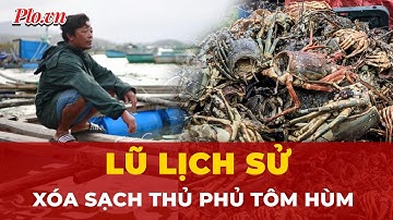 Lũ lịch sử cuốn sạch thủ phủ tôm hùm ra biển, người dân chỉ biết khóc | Tin nhanh