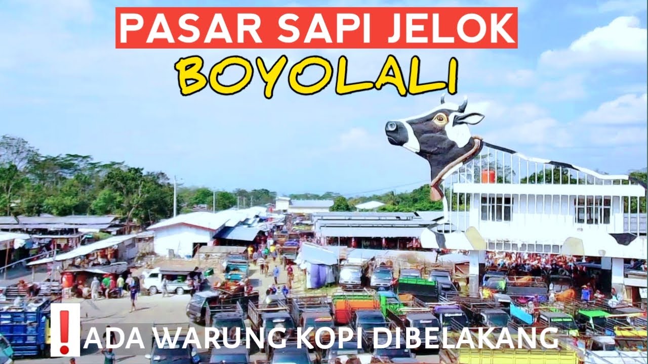 ❗Ada warung kopi di keramaian pasar sapi jelok Boyolali saat weton pahing.