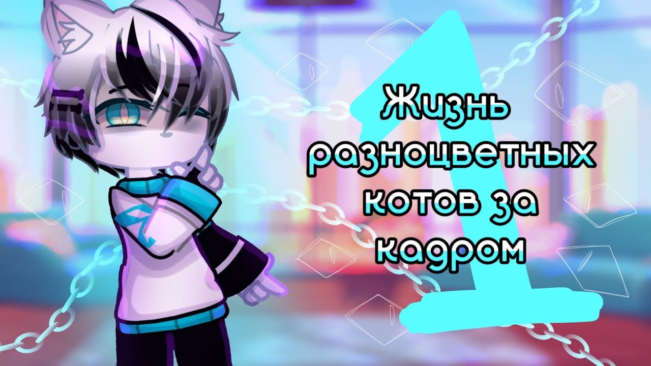 жизнь разноцветных котов за кадром часть 1 | 1/6