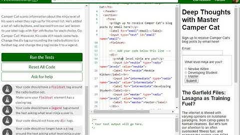 Applied Accessibility Wrap Radio Buttons in a fieldset Element for Better Accessibility free code ca