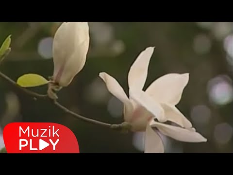 Gelin Ey Asiklar - Aklim... (Cesitli Sanatcilar)