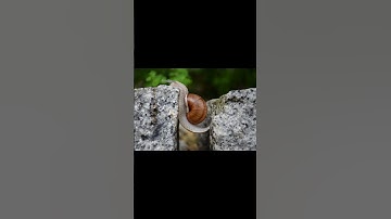 The Is-Ought Problem - #Shorts