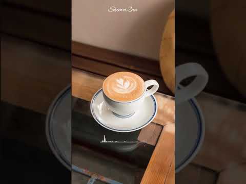 شوقنا اكتر شوقنا عمرو دياب Amr Diab Egypt 