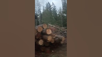 Last load of logs ready to load out! #logging #logloader #linkbelt #idaho