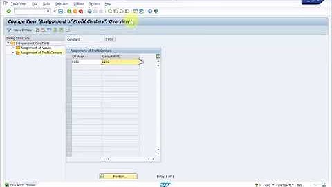 SAP FI Settings   Part № 3 Document Splitting Mandatory fields Constants