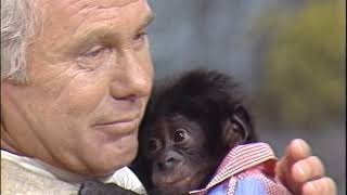 Johnny Carson & the Pygmy Chimp  The Tonight Show  August 4, 1977