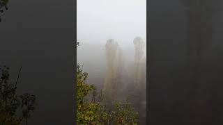 Sonbahar Yağmuru 🦋🍂