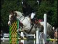 Sicilia  lissy loves showjumping