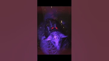 The New Devour Boss is Insane #devour #devourgameplay #horrorgaming #scarygaming #horror #scary