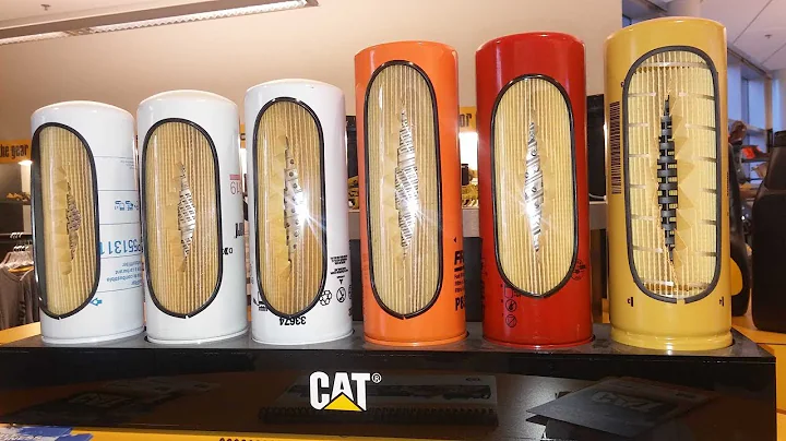 Are Cat Filters Worth The Money? Are Cat Filters Better?