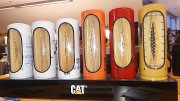 Are Cat Filters Worth The Money? Are Cat Filters Better?