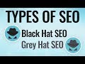 Types of SEO  | Black Hat SEO | Grey Hat SEO | SEO Tutorial