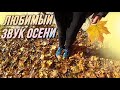 Любимый звук осени / AIDA ASKEROVA