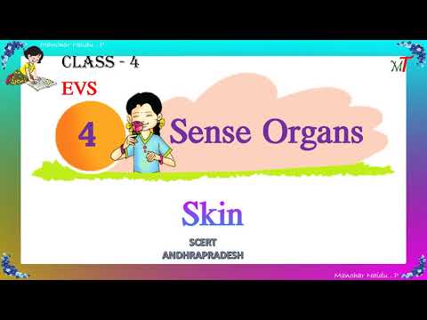 sense organs -