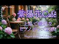 紫陽花の季節に聴きたい、上品で優雅なカフェジャズBGM☕☔(リラックス/作業/家事/仕事/勉強/読書)