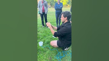 Citizen Science in Action! 🧪