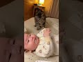 【遊びたかっただけ…】赤さんの食事の邪魔をした猫、一瞬で強制退場させられてしまう…　#shorts
