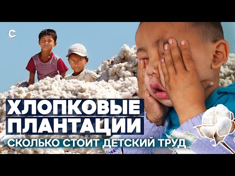 Рабы плантаций. Тайная история хлопководства в Узбекистане
