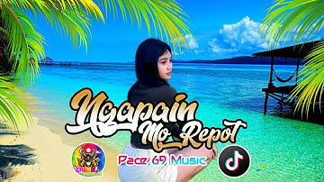 NGAPAIN MO REPOT (v3) - Wizz Baker ft. Fresly & Toton Caribo🌴 VIRAL TIKTOK - Pace 69 Rmx