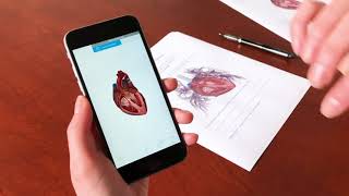 Using Augmented Reality Lab Activities | Human Anatomy Atlas